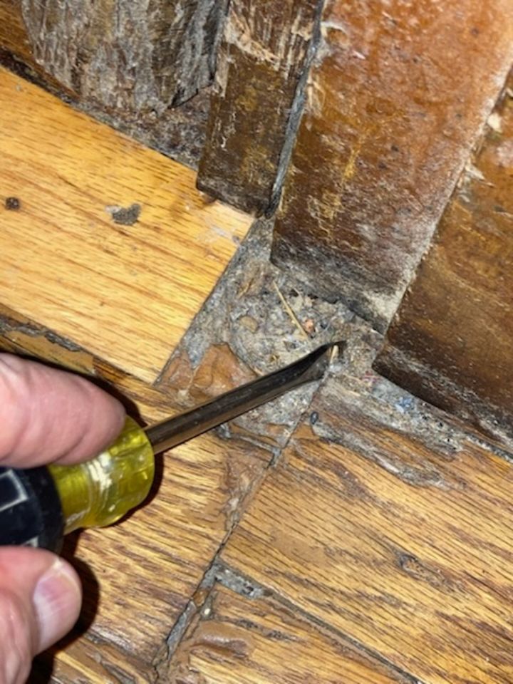 Water Damage