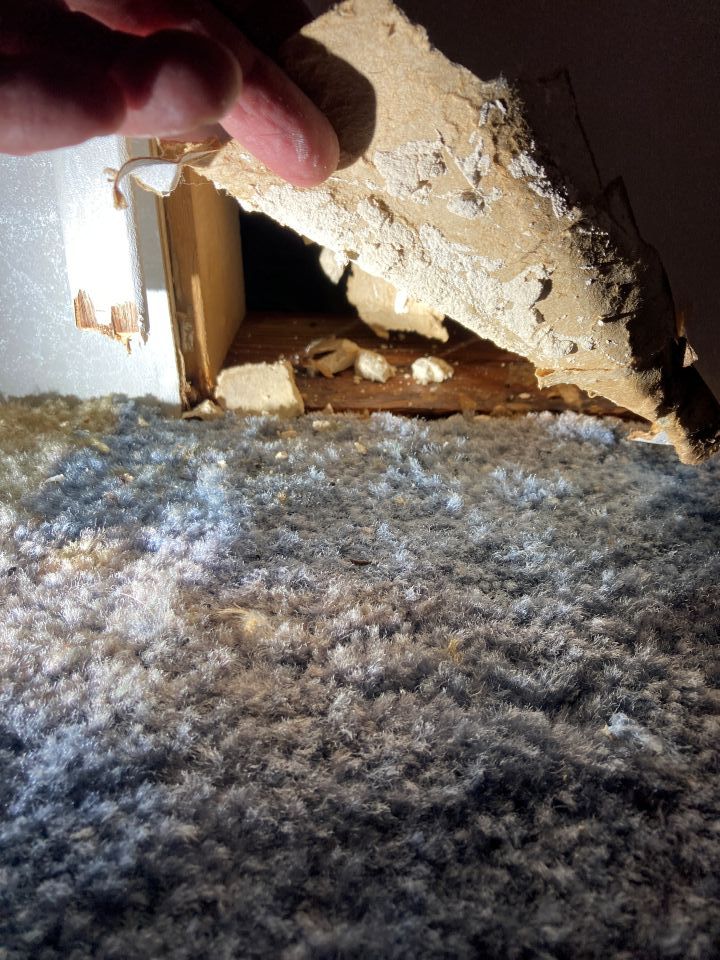 Soggy Drywall